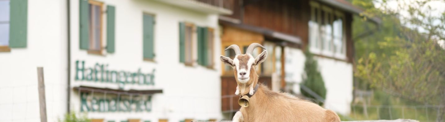Bauernhof im Allgäu